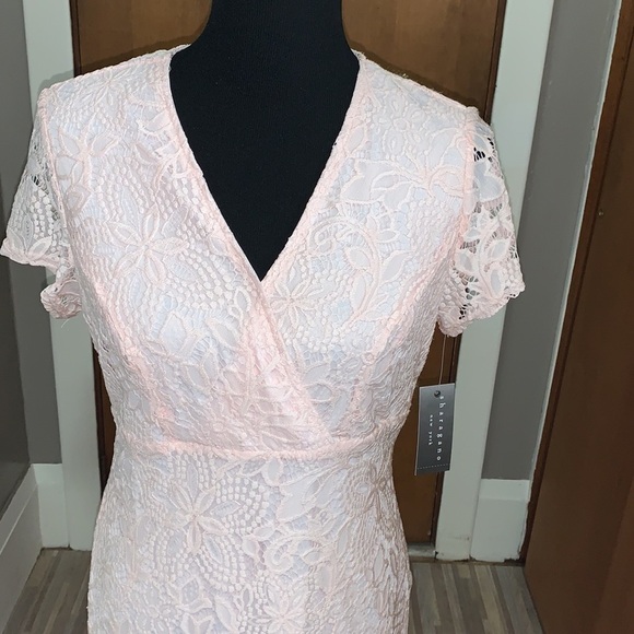 Sharagano light pink short sleeve lace midi dress - Picture 4 of 5